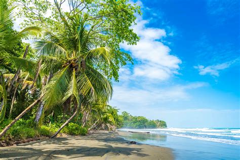 The water in Puerto Viejo is clean and beautiful, but depending on when you go, it might not be pristine all day. . Most dangerous beaches in costa rica